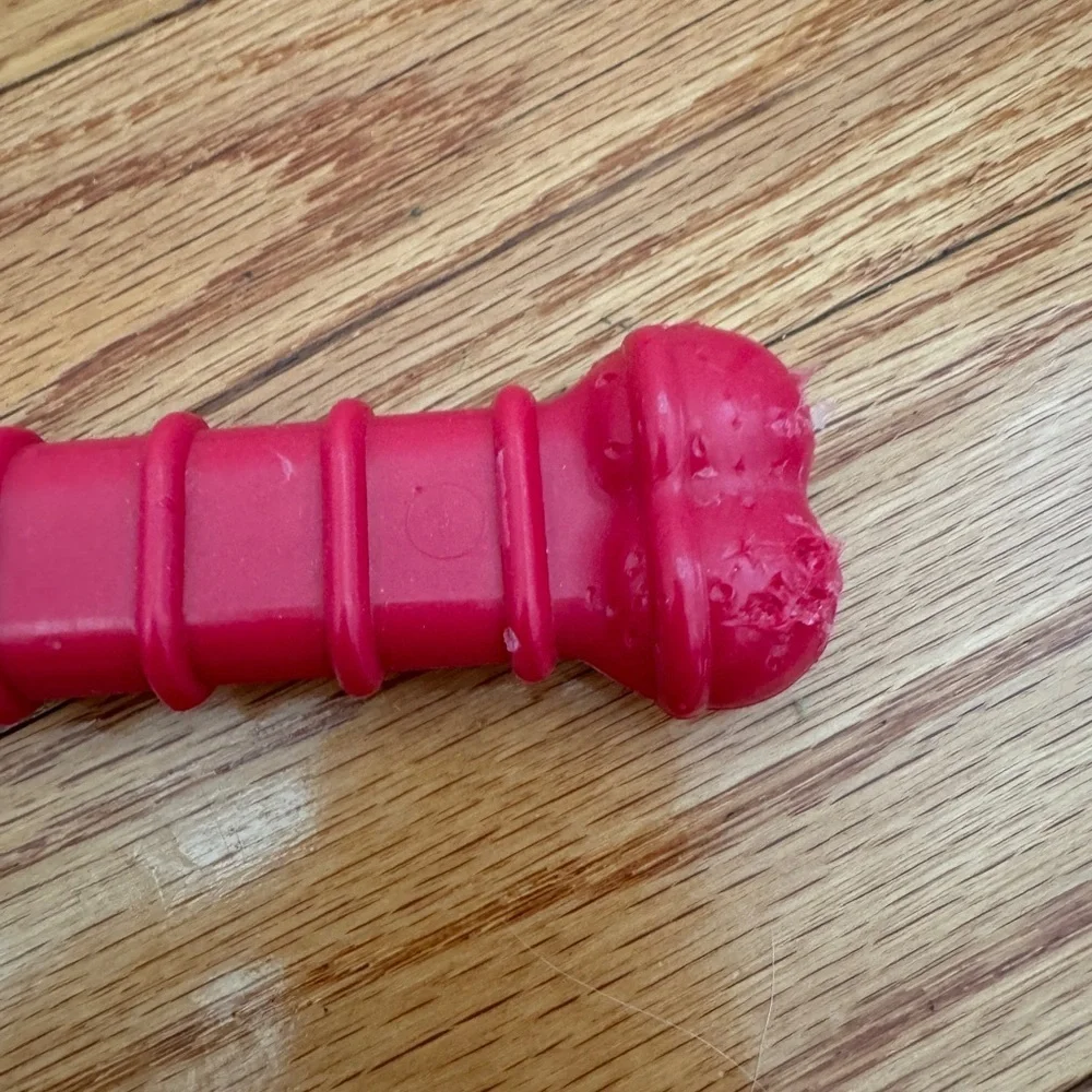Nylabone Red Small to Medium Size Dog Hard Chew Dog Toy